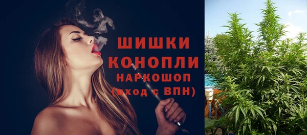 МДПВ Навашино