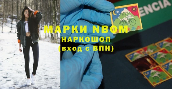 крисы Инта