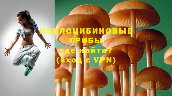 spice Михайловка