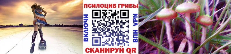 Галлюциногенные грибы GOLDEN TEACHER  Удомля 