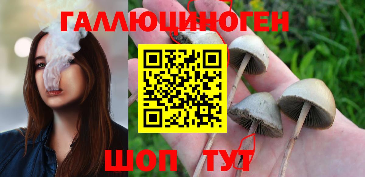 Псилоцибиновые грибы GOLDEN TEACHER Удомля