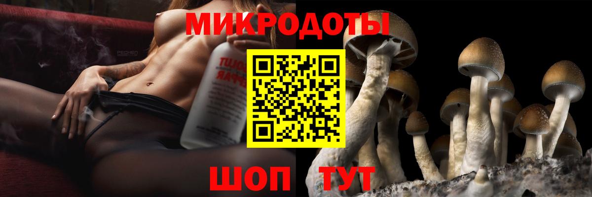 Псилоцибиновые грибы Psilocybine cubensis  Вход с VPN  Удомля  Галлюциногенные грибы Psilocybe 